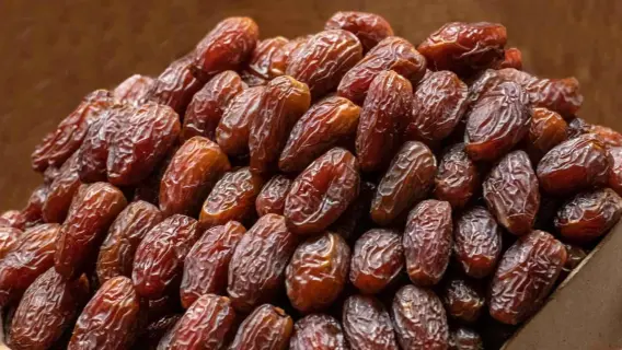 إغلاق مصنع وتمور فاسدة
