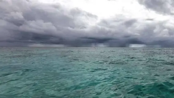 مياه المحيط الجنوبي وتحليل جيني للجينات الميكروبية