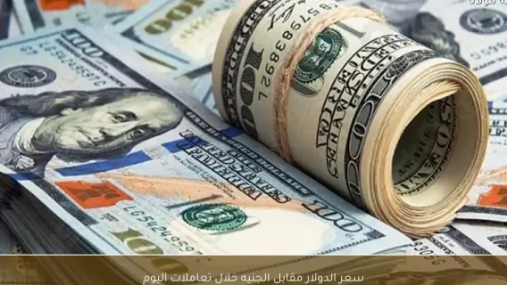 سعر الدولار في مصر